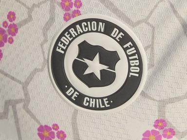 Agenda de la Selección Chilena durante el FIFA SERIES en Nueva Zelanda